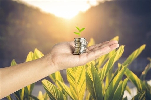 保险金与保险费，理解其区别与重要性，保险金与保险费，理解其区别与重要性