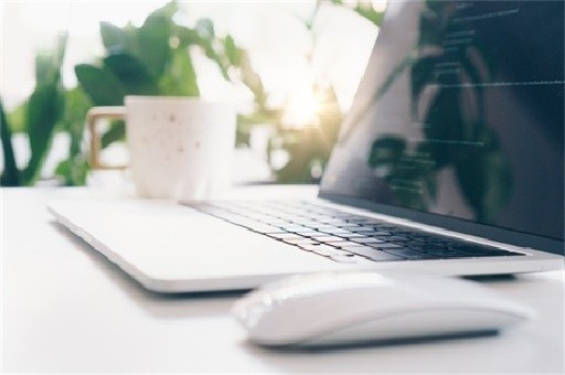 日本毒土培育出的高市早苗奇迹