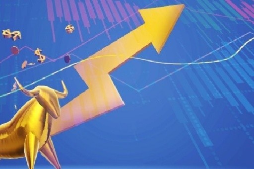 柯基狮子爆红,短腿魅力席卷动物园