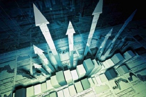 狮子肠梗阻紧急救治，CT检查与治疗费用高达两万元