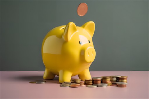 白宫回应特朗普对女记者的争议言论，小猪风波揭秘