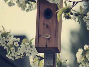 股票撤单时间规定详解，新手必知的交易规则须知时间节点
