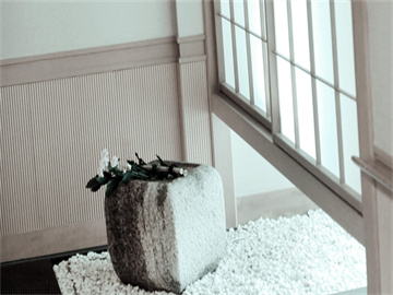 浙江宣传关注，吸毒记录封存问题的呼声需被重视