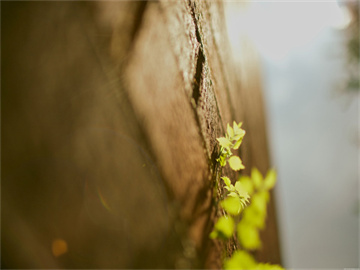  报复要来了？加拿大总理：若特朗普施加25%的关税，将予以回击