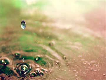 牧原股份股票行情实时分析