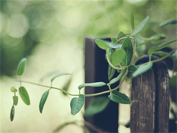 基金赎回时间详解，掌握正确时间点，避免白忙一场！