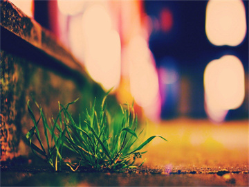 男子夜骑遭遇晾衣绳割喉事件，物业回应揭秘真相