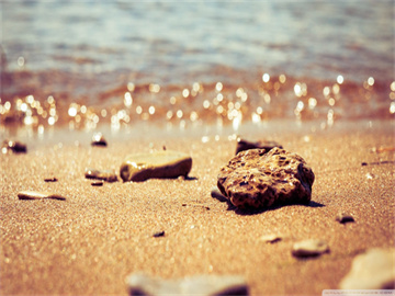 外交部严批英方，无理之举