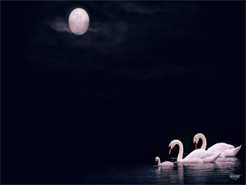 印度民众围绕普京照片模仿绕圈行为引发关注