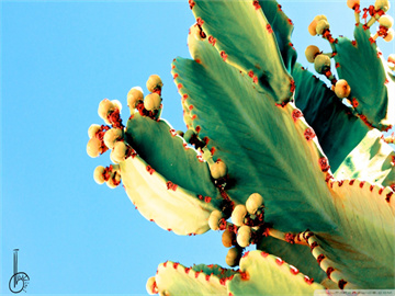 母爱无私，28岁妈妈割肝救女