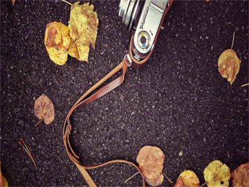 冰雪旅游创新消费场景，快速升温成新热点