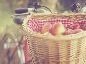 2022年橡胶价格最新行情分析