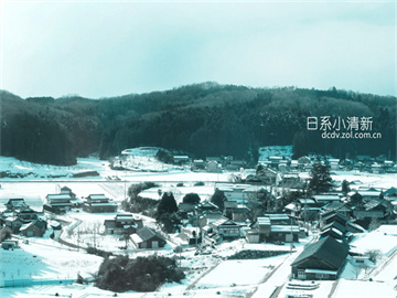 揭秘，哪些股票具备不退市的优势？