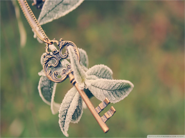 国内期货市场概况