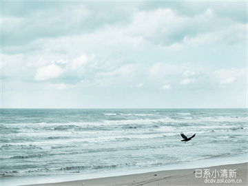 股指期货交易地点揭秘，投资股指期货的平台与场所