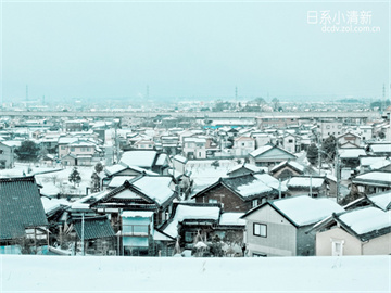 蔡磊准备探索脑机接口新领域