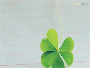 中东局势紧张引发油价飙升，山东墨龙股价飙升连板翻倍