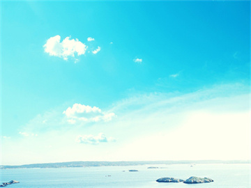 国内期货市场概况