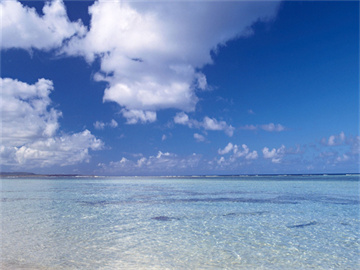 倍速爱好者必看，一个消息让他们的世界仿佛塌陷