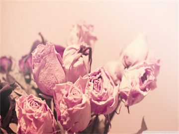 奇信股份，科技与艺术的融合之旅