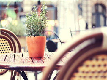 揭秘，哪些股票具备不退市的优势？