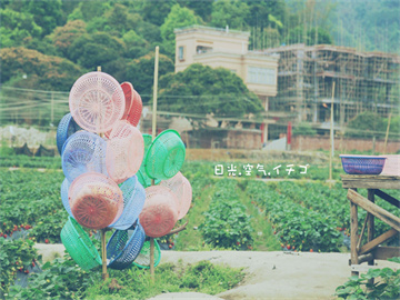 爱心专座引发争议，老人与女生的疲惫之争