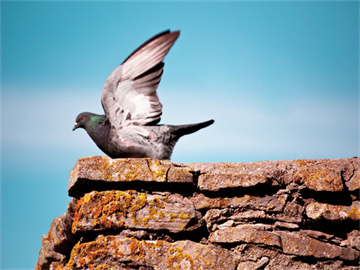 平安银行卡注销流程详解，轻松搞定注销操作！