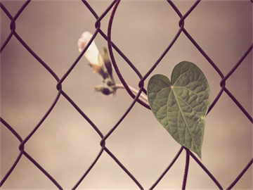 股票撤单时间规定详解，新手必知的交易规则须知时间节点