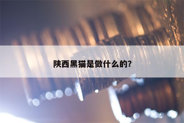 陕西黑猫是做什么的？