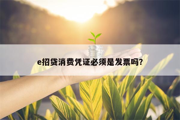 e招贷消费凭证必须是发票吗？