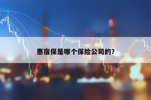 惠宿保是哪个保险公司的？