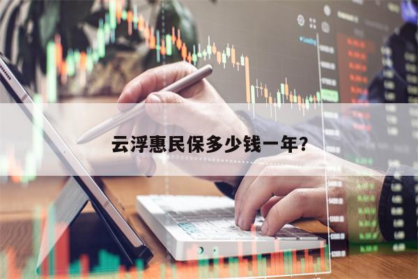 云浮惠民保多少钱一年？