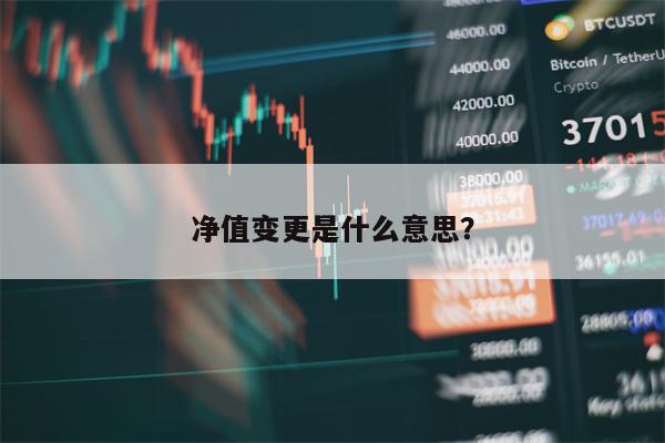 净值变更是什么意思？