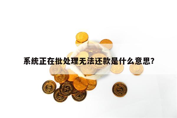 系统正在批处理无法还款是什么意思？