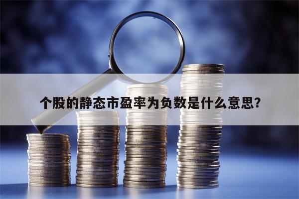 个股的静态市盈率为负数是什么意思？