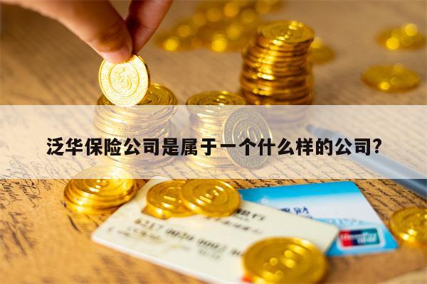 泛华保险公司是属于一个什么样的公司?