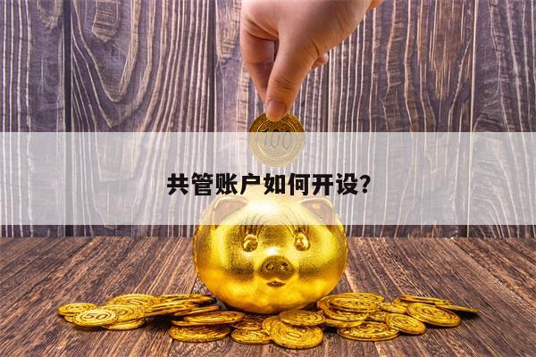 共管账户如何开设？