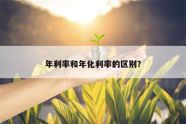 年利率和年化利率的区别？