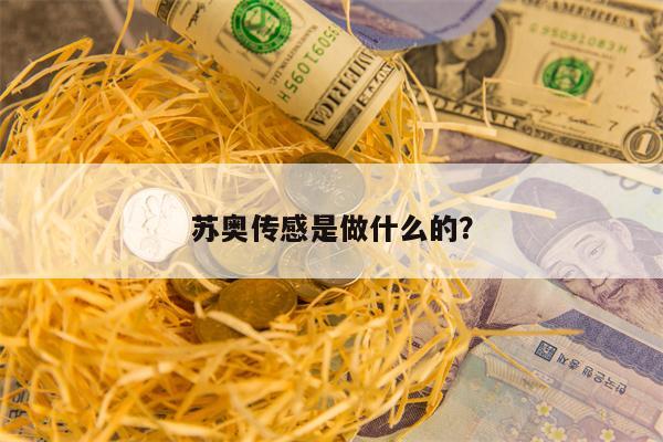 苏奥传感是做什么的？