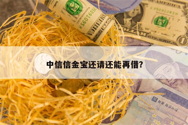 中信信金宝还请还能再借？