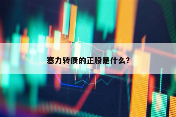 塞力转债的正股是什么？
