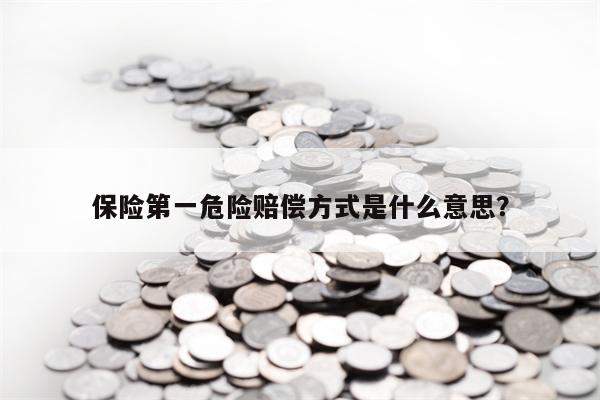 保险第一危险赔偿方式是什么意思？