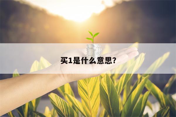 买1是什么意思？