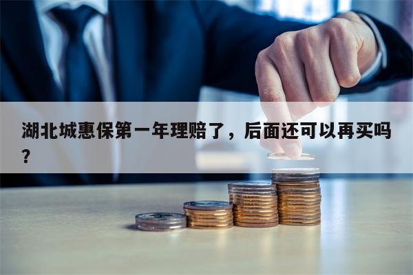 湖北城惠保第一年理赔了，后面还可以再买吗？