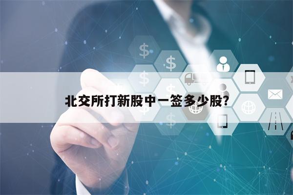北交所打新股中一签多少股？