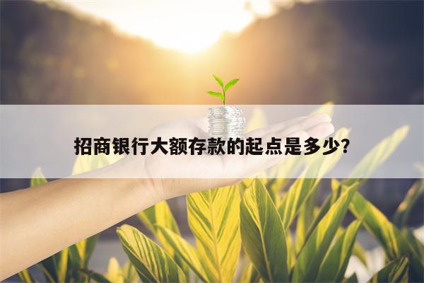 招商银行大额存款的起点是多少？