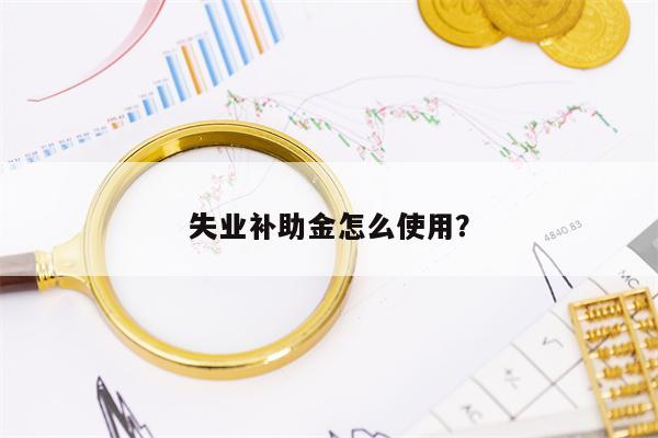 失业补助金怎么使用？