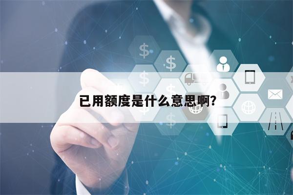 已用额度是什么意思啊？
