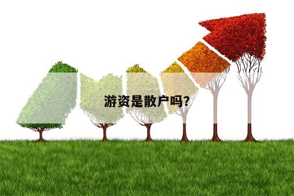 游资是散户吗？