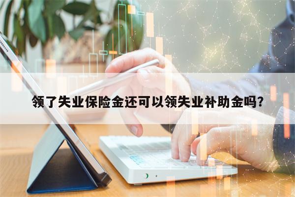 领了失业保险金还可以领失业补助金吗？